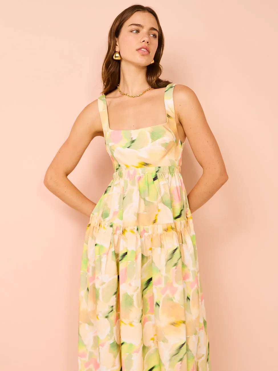 Acler Rangewood Midi Dress in Flora Blur