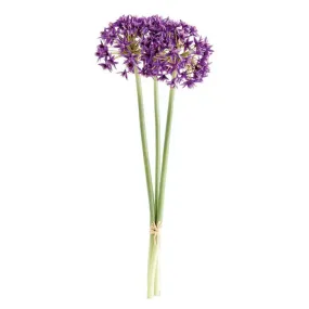 ALLIUM STEM BUNDLE OF 3