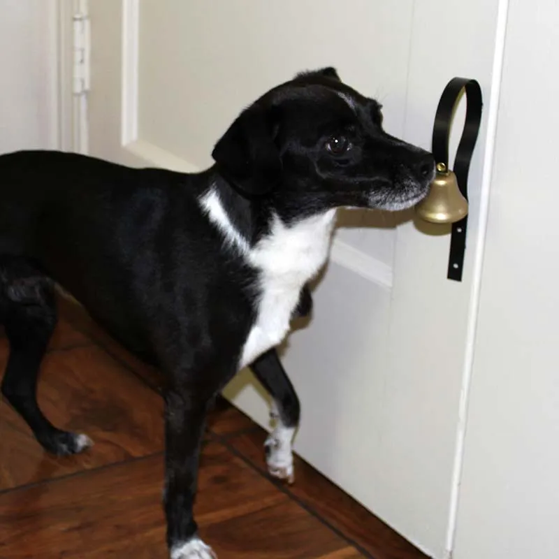 Bell for Dog Housetraining With Instructions