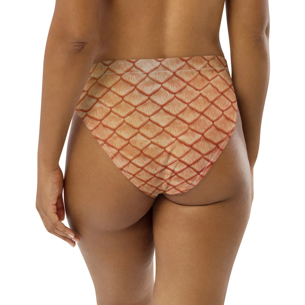 Classic Cleo Recycled High-Waisted Bikini Bottom