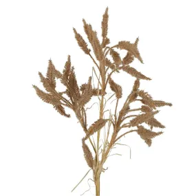 Dried Wheat Grass Stem Brown