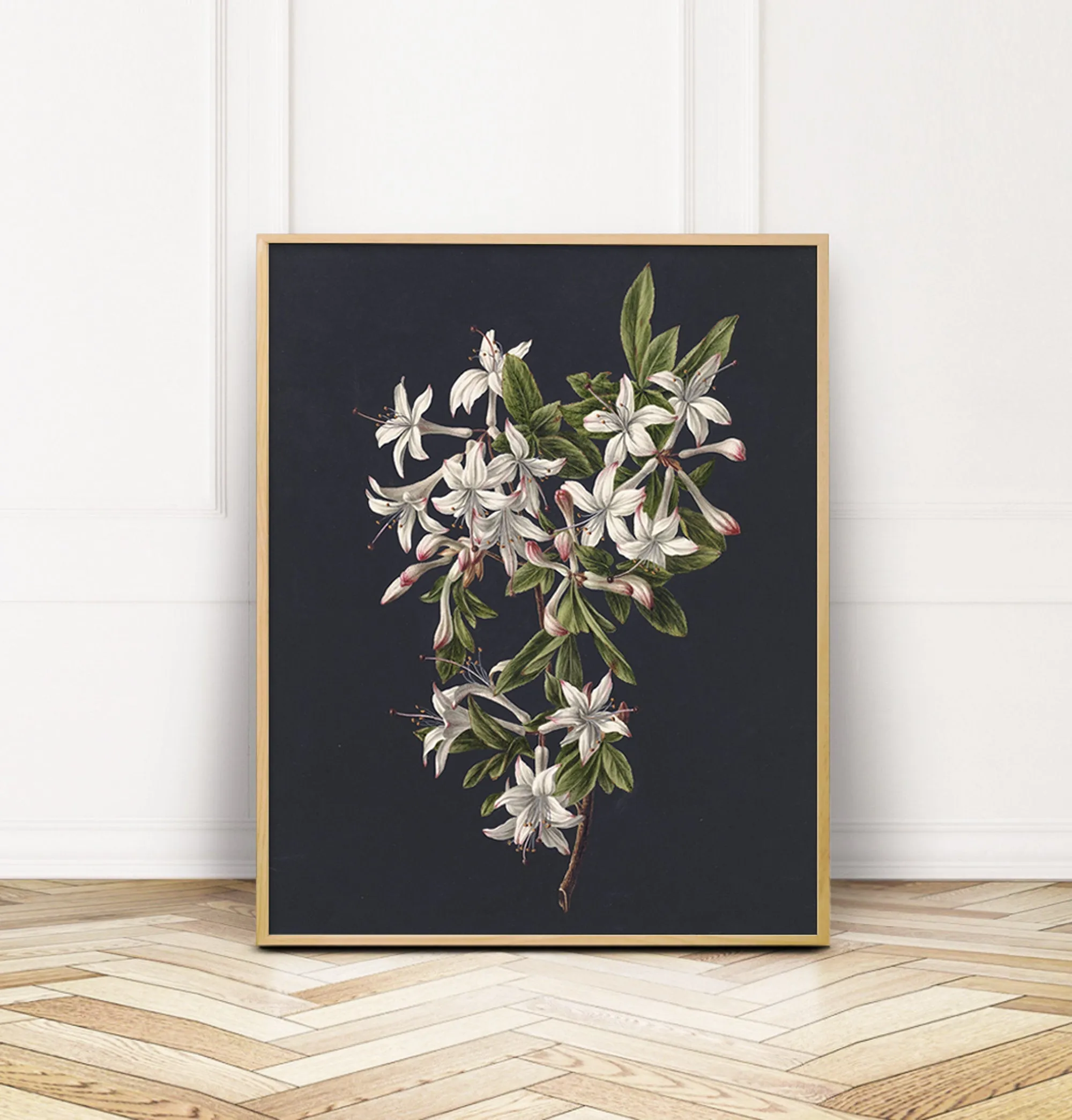 Flowers on Black 1 - Vintage Wall Art